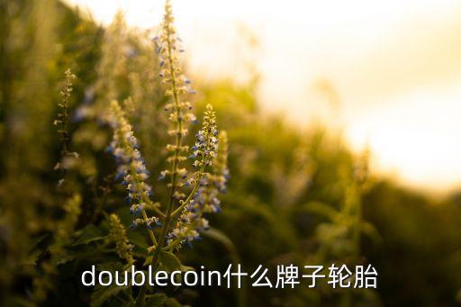 doublecoin什么牌子輪胎