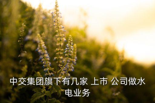 中交集團(tuán)旗下有幾家 上市 公司做水電業(yè)務(wù)