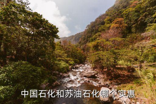 中國石化和蘇油石化哪個實惠