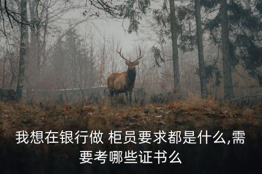 我想在銀行做 柜員要求都是什么,需要考哪些證書(shū)么