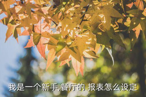 我是一個新手,餐廳的 報表怎么設定