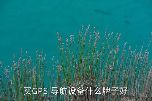 買GPS 導航設(shè)備什么牌子好