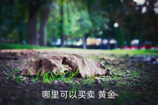 哪里可以買(mǎi)賣(mài) 黃金