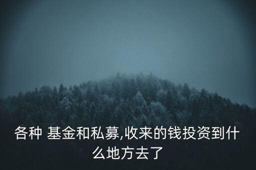 各種 基金和私募,收來的錢投資到什么地方去了