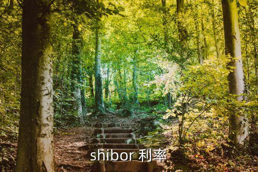 shibor 利率