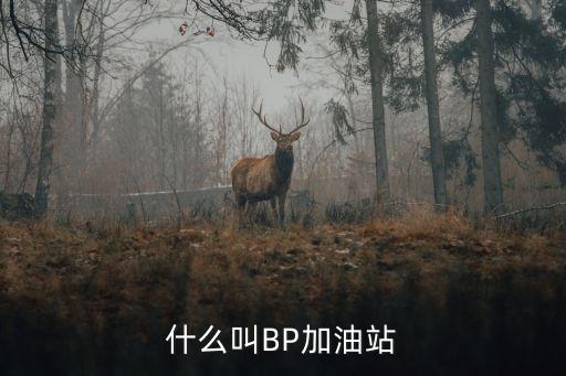 什么叫BP加油站