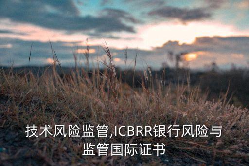 銀行技術風險監(jiān)管,ICBRR銀行風險與監(jiān)管國際證書