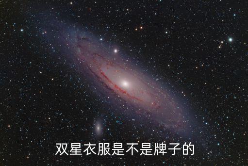  雙星衣服是不是牌子的