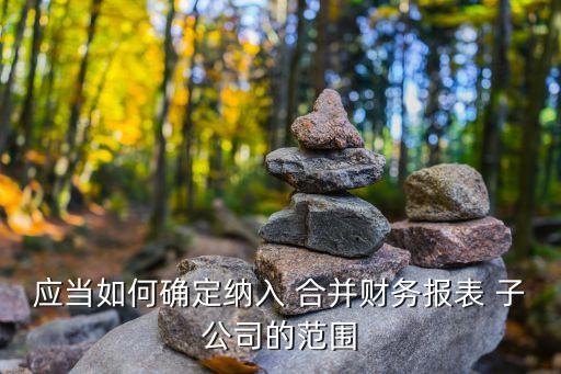 應(yīng)當(dāng)如何確定納入 合并財務(wù)報表 子公司的范圍