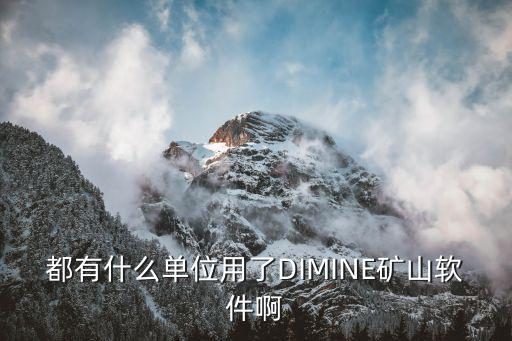 都有什么單位用了DIMINE礦山軟件啊