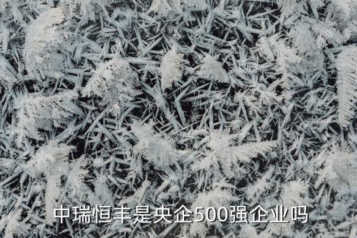  中瑞恒豐是央企500強企業(yè)嗎