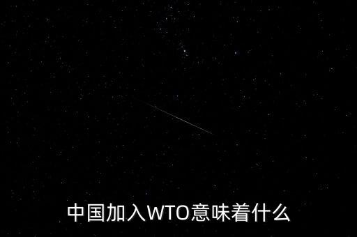 中國加入WTO意味著什么