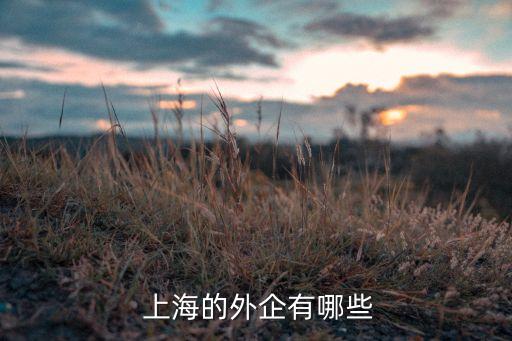 上海索廣映像株式會(huì)社,索廣映像上海有幾個(gè)地址