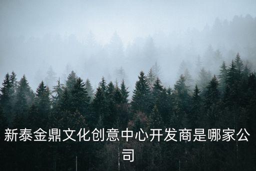 象山城投置業(yè)有限公司,坪山城投置業(yè)有限公司董事長(zhǎng)