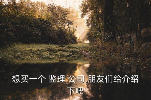 想買(mǎi)一個(gè) 監(jiān)理 公司,朋友們給介紹下吧