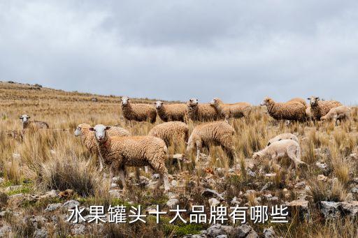 臨沂蒙格爾食品有限公司,山東蒙格爾食品有限公司