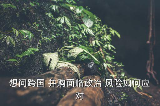 想問(wèn)跨國(guó) 并購(gòu)面臨政治 風(fēng)險(xiǎn)如何應(yīng)對(duì)