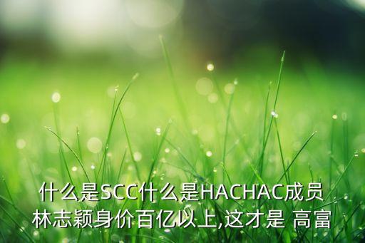 什么是SCC什么是HACHAC成員林志穎身價百億以上,這才是 高富