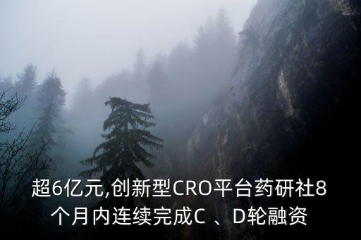 超6億元,創(chuàng)新型CRO平臺藥研社8個月內(nèi)連續(xù)完成C 、D輪融資