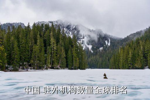 中國最大的駐外使館,中國駐外使館用什么車