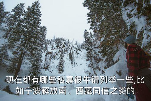 現(xiàn)在都有哪些私募很牛請(qǐng)列舉一些,比如寧波解放南、西藏同信之類的