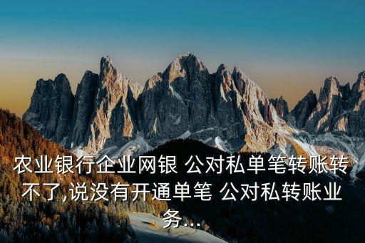 農(nóng)業(yè)銀行企業(yè)網(wǎng)銀 公對(duì)私單筆轉(zhuǎn)賬轉(zhuǎn)不了,說沒有開通單筆 公對(duì)私轉(zhuǎn)賬業(yè)務(wù)...