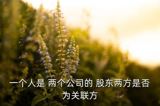 同一個(gè)人可否在同行業(yè)的兩個(gè)公司做股東