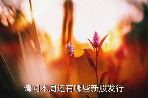 請(qǐng)問本周還有哪些新股發(fā)行