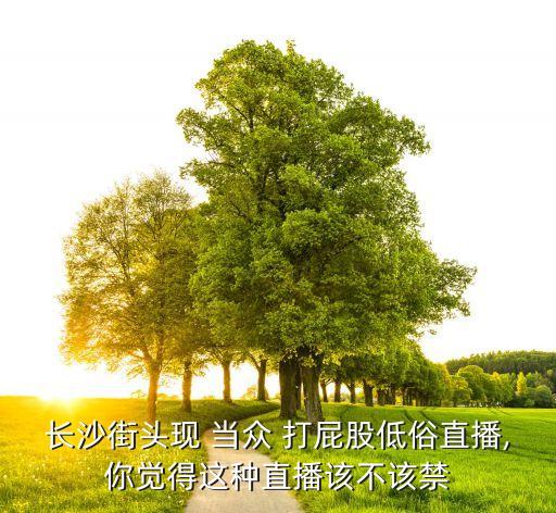 長(zhǎng)沙街頭現(xiàn) 當(dāng)眾 打屁股低俗直播,你覺得這種直播該不該禁