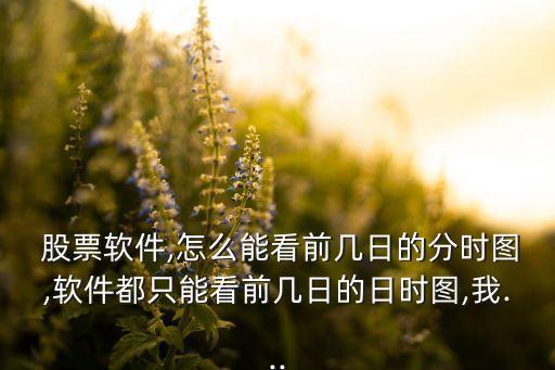  股票軟件,怎么能看前幾日的分時(shí)圖,軟件都只能看前幾日的日時(shí)圖,我...