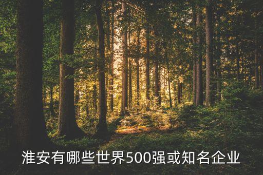 淮安有哪些世界500強(qiáng)或知名企業(yè)