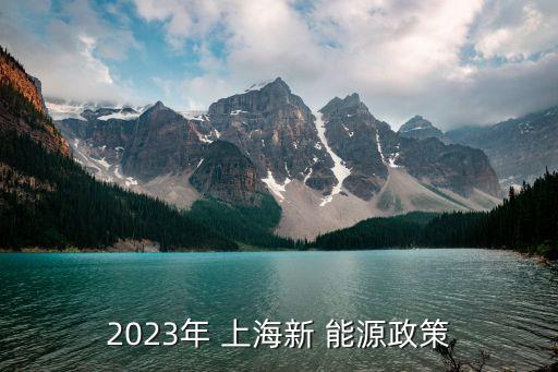 2023年 上海新 能源政策