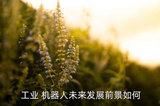 中國工業(yè)機器人的需求最新預計