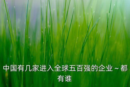 中國有幾家進(jìn)入全球五百強(qiáng)的企業(yè)～都有誰