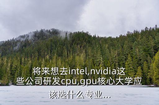 將來想去intel,nvidia這些公司研發(fā)cpu,gpu核心大學(xué)應(yīng)該選什么專業(yè)...