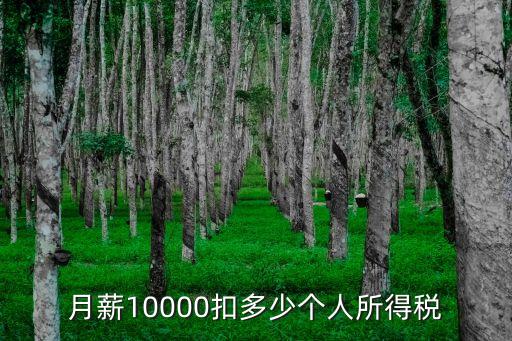 月薪10000扣多少個(gè)人所得稅