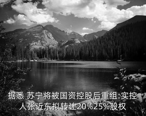 據(jù)悉 蘇寧將被國資控股后重組:實控人張近東擬轉(zhuǎn)讓20%25%股權(quán)