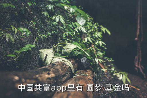 中國共富app里有 圓夢 基金嗎