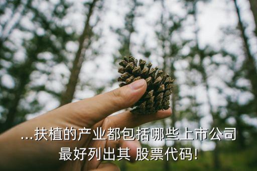 ...扶植的產(chǎn)業(yè)都包括哪些上市公司最好列出其 股票代碼!