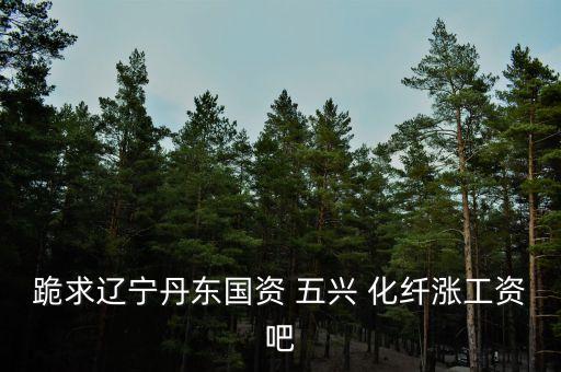 五興化纖集團,秦皇島五興集團怎么樣