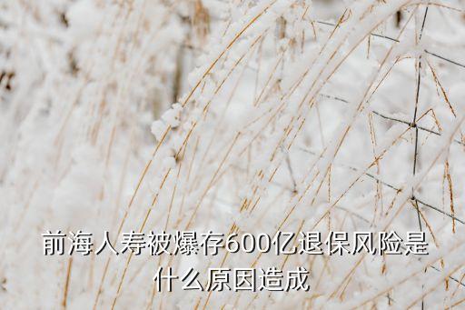  前海人壽被爆存600億退保風(fēng)險(xiǎn)是什么原因造成