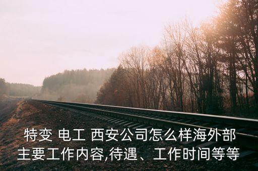  特變 電工 西安公司怎么樣海外部主要工作內容,待遇、工作時間等等