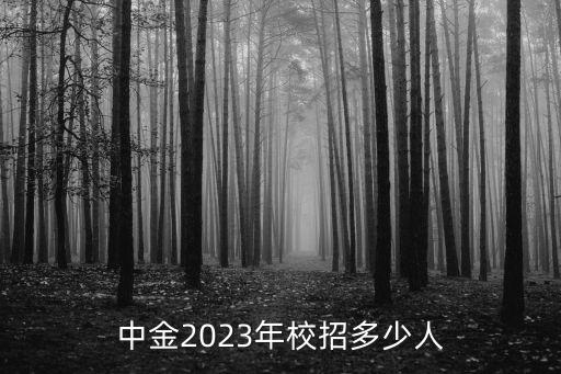 中金2023年校招多少人