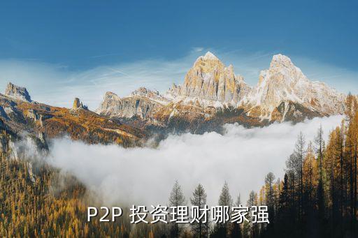 P2P 投資理財哪家強