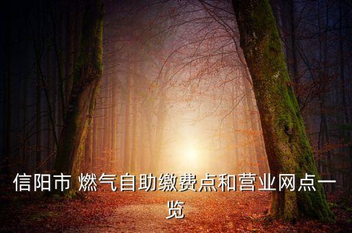 信陽(yáng)市 燃?xì)庾灾U費(fèi)點(diǎn)和營(yíng)業(yè)網(wǎng)點(diǎn)一覽