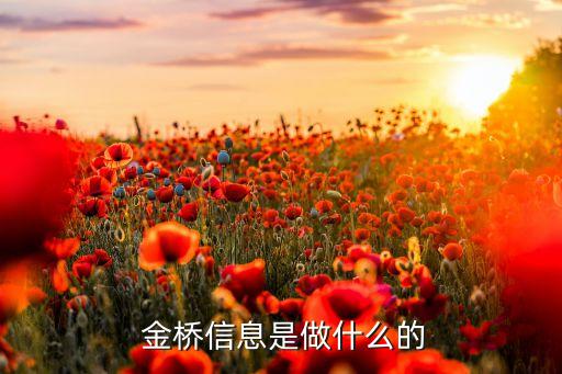 長(zhǎng)城金橋金融咨詢有限公司