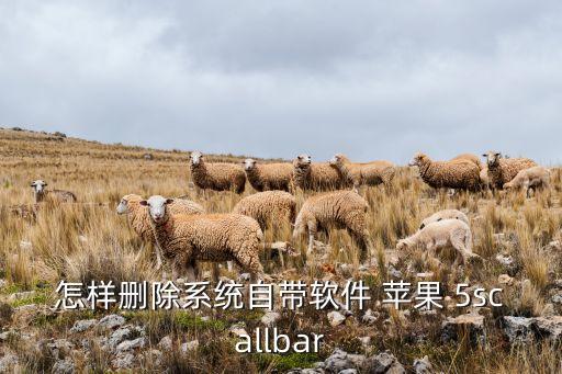 怎樣刪除系統(tǒng)自帶軟件 蘋果 5scallbar