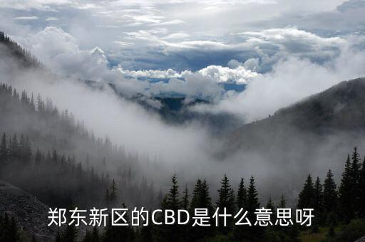 鄭東新區(qū)的CBD是什么意思呀