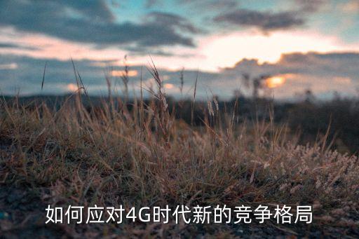 如何應(yīng)對(duì)4G時(shí)代新的競爭格局