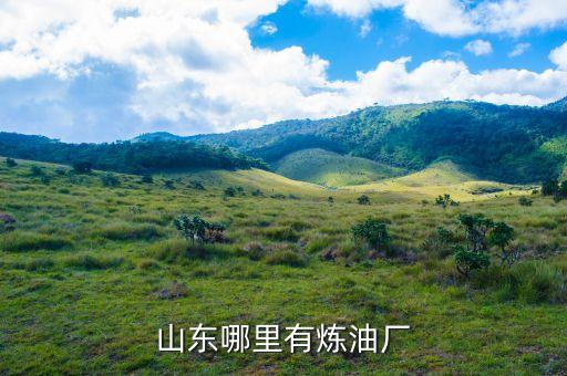 青島寶豐鋁箔有限公司,青島鑫寶豐工貿(mào)有限公司怎么樣